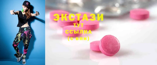 индика Магас